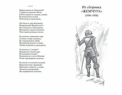 Шаман гумилев