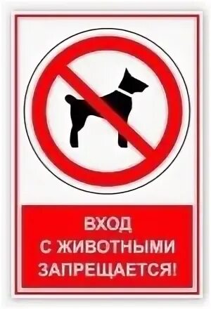 Входить з