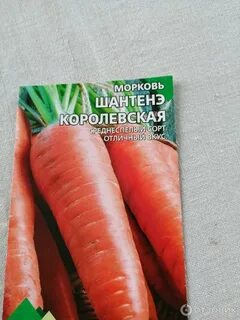Морковь согласные