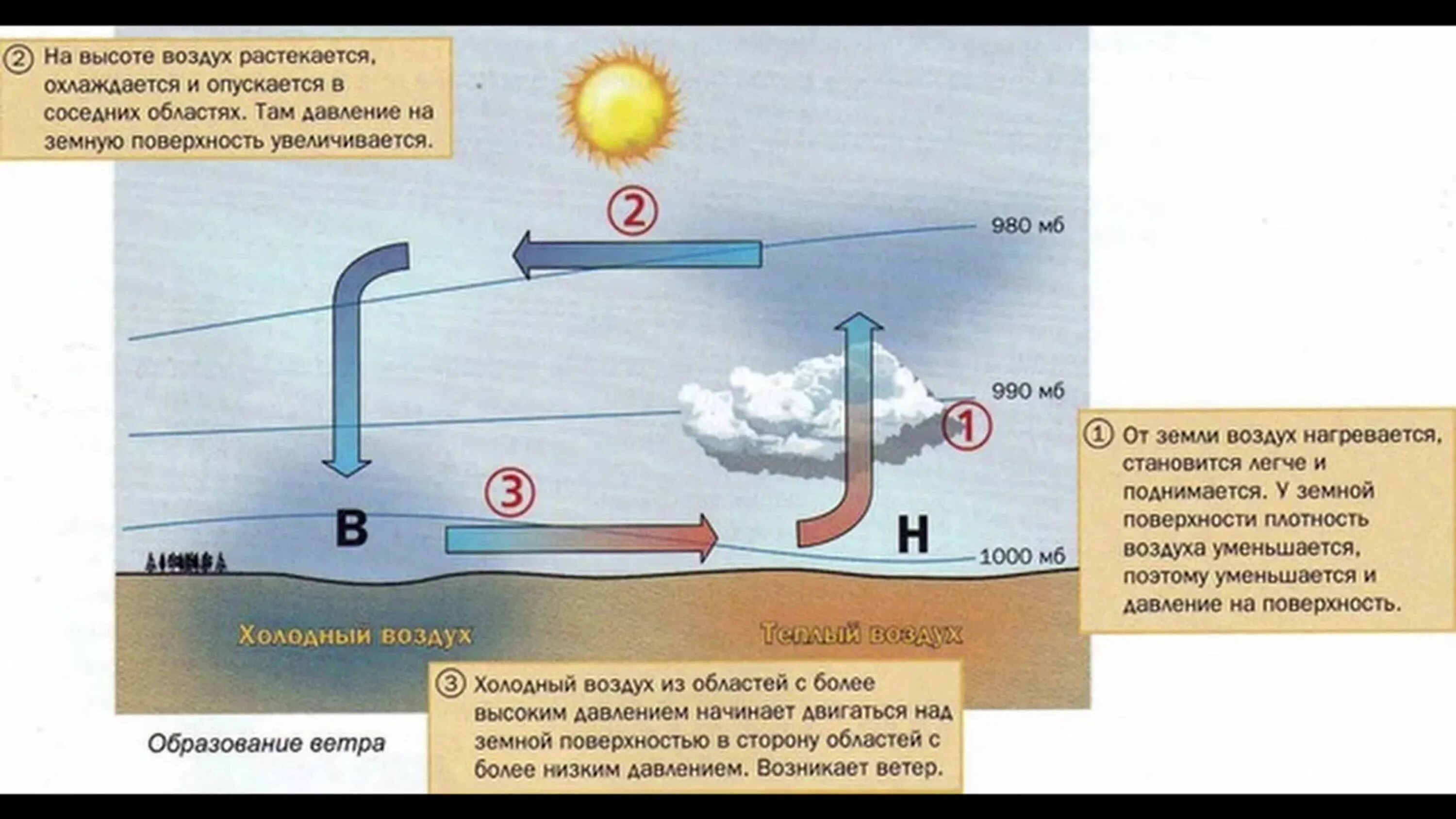 Напор холодной. Как образуется ветер схема. Схема образования ветра. Схему возникание ветра. Движение воздуха в природе.