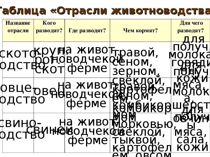 Промышленность таблица 3 класс. Отрасли животноводства таблица. Отрасли скотоводства таблица. Таблица по отраслям животноводства. Животноводство отрасли животноводства таблица.