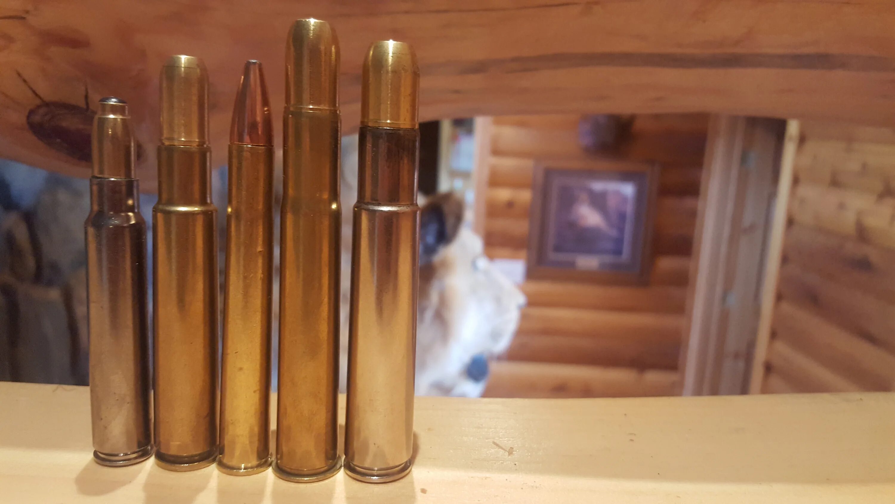 Rifle expert badgest. Мелкокалиберный патрон. Металл на металл кабельный ввод устьевой swagelok. Small bore. Калибр.