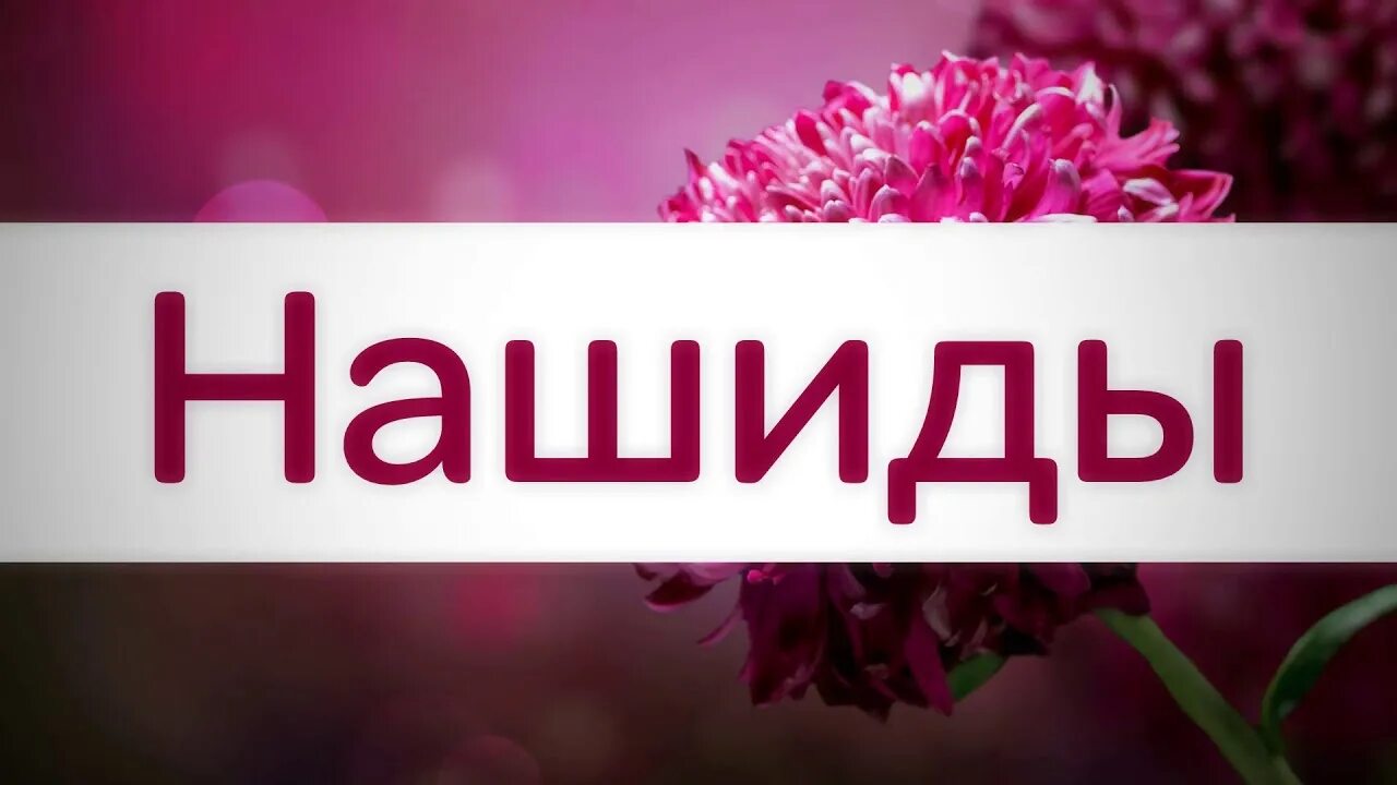 Нашиды без рекламы слушать. Нашиды логотип. Нашид надпись. Мощные нашиды. Картинки нашиды.