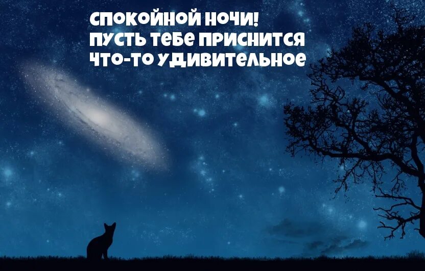 Песни пусть будет ночь. Пусть тебе приснится. Спокойной ночи. Спокойной ночи и пусть приснится. Спокойной ночи пусть тебе.