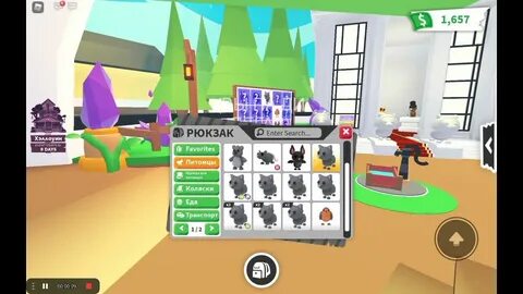 Starpet adopt me