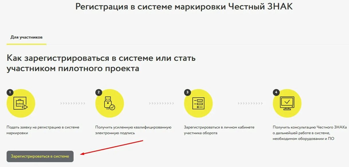 Получила зарегистрирована. Личный кабинет в честном знаке. Честный знак личный кабинет. Регистрация в честном знаке. Честный знак регистрация.