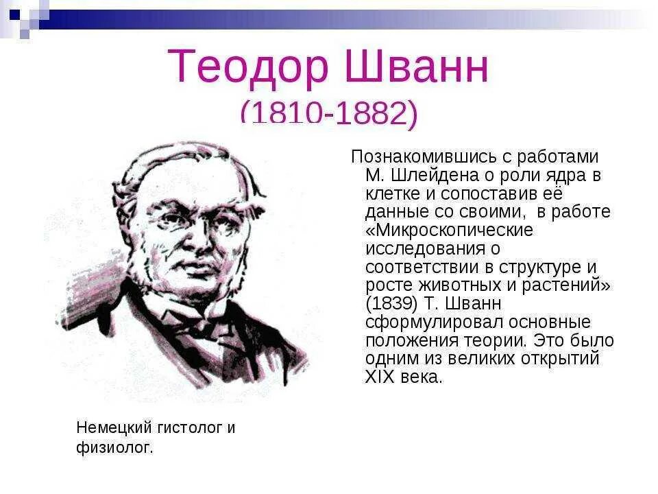 Т шванн сформулировал. Теодор шванн (1810-1882). теодор шванн открытия. зоолог шванн. теодор шванн биография.