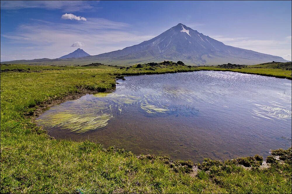 метео камчатский край