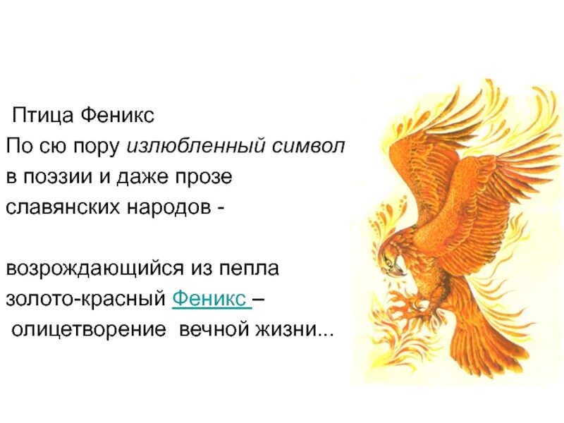 Птица Феникс. Стихи про птицу Феникс. Птица Феникс символ. Феникс христианский символ. Что означает птица в доме