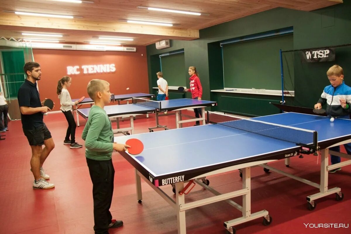 Освещение для теннисного стола. Настольный теннис остапенко славгород. Пинг понг девушки. Настольный теннис угмк турнир юниоров. Рута паскаускене настольный теннис.