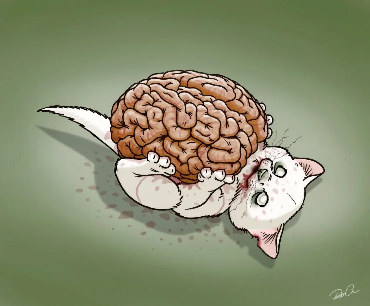 Мозг кошки. Веселый мозг. Смешной мозг. Мозг арт.