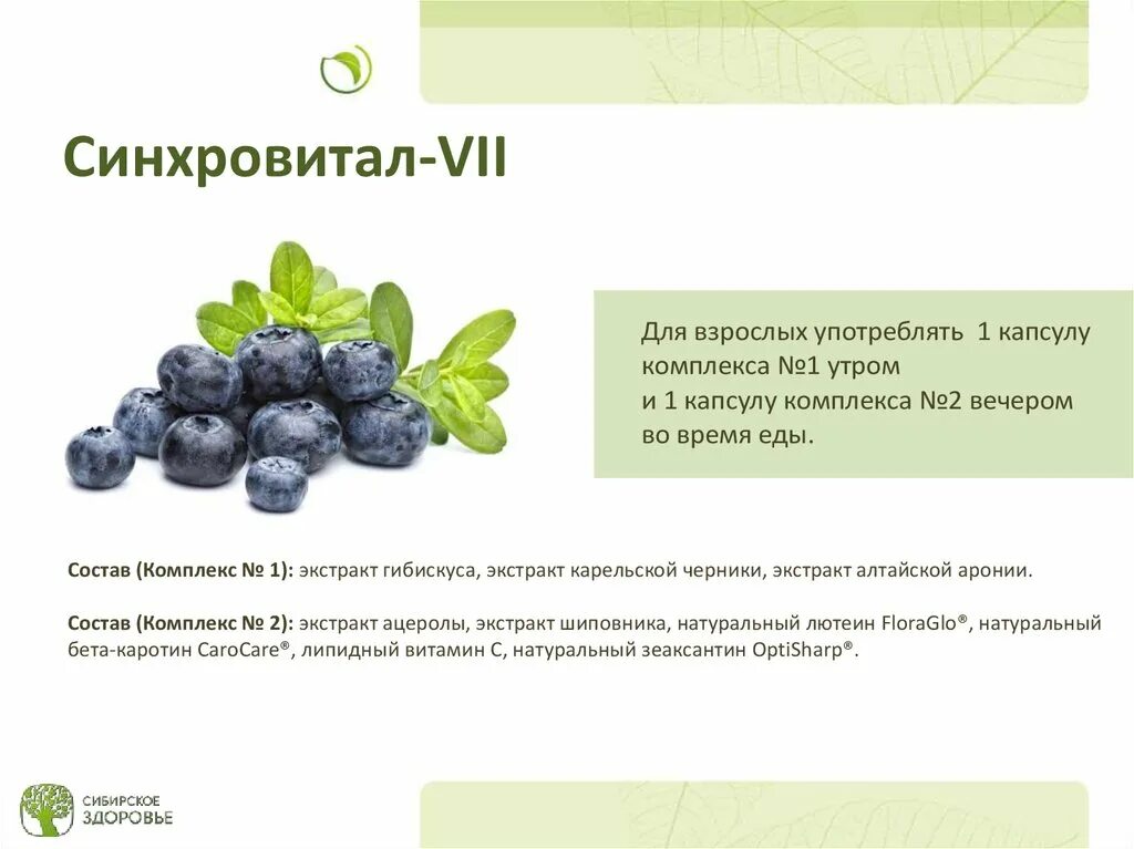 Сибирское здоровье черника. Синхровитал 7 Сибирское здоровье. Арония и лютеин Сибирское здоровье. Синхровитал 2 Сибирское здоровье. Синхровитал зрение Сибирское здоровье.