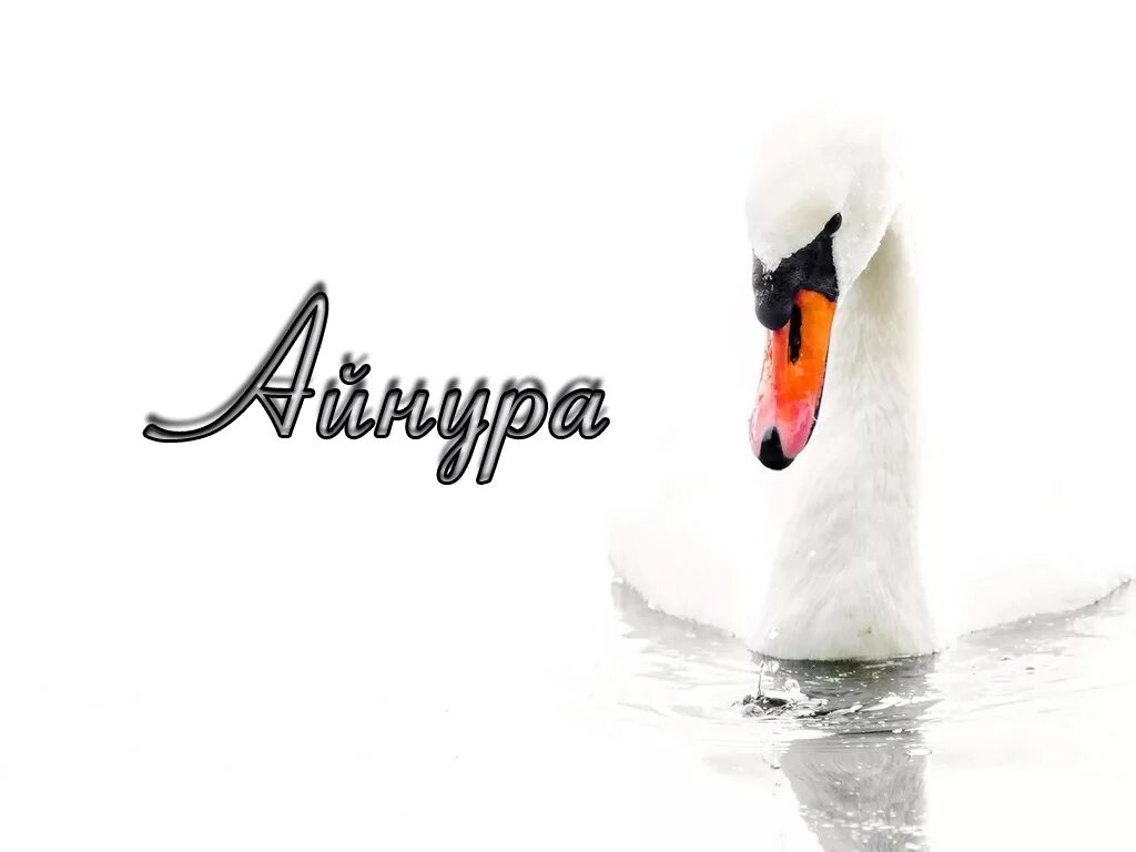 Айнура надписи. Айнура надписи. Картинка айнура. С днём рождения айнура. Картинка айнура.