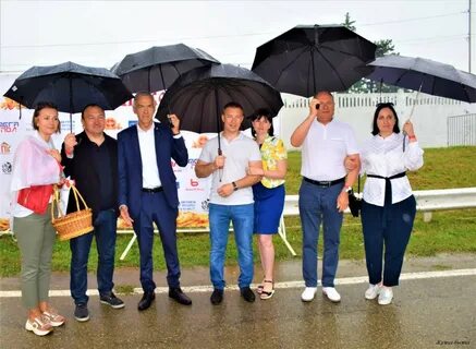 День староминской