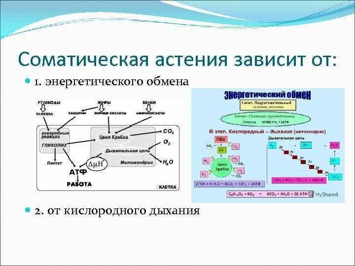 Этот текст размыт и вы не сможете его прочитать.