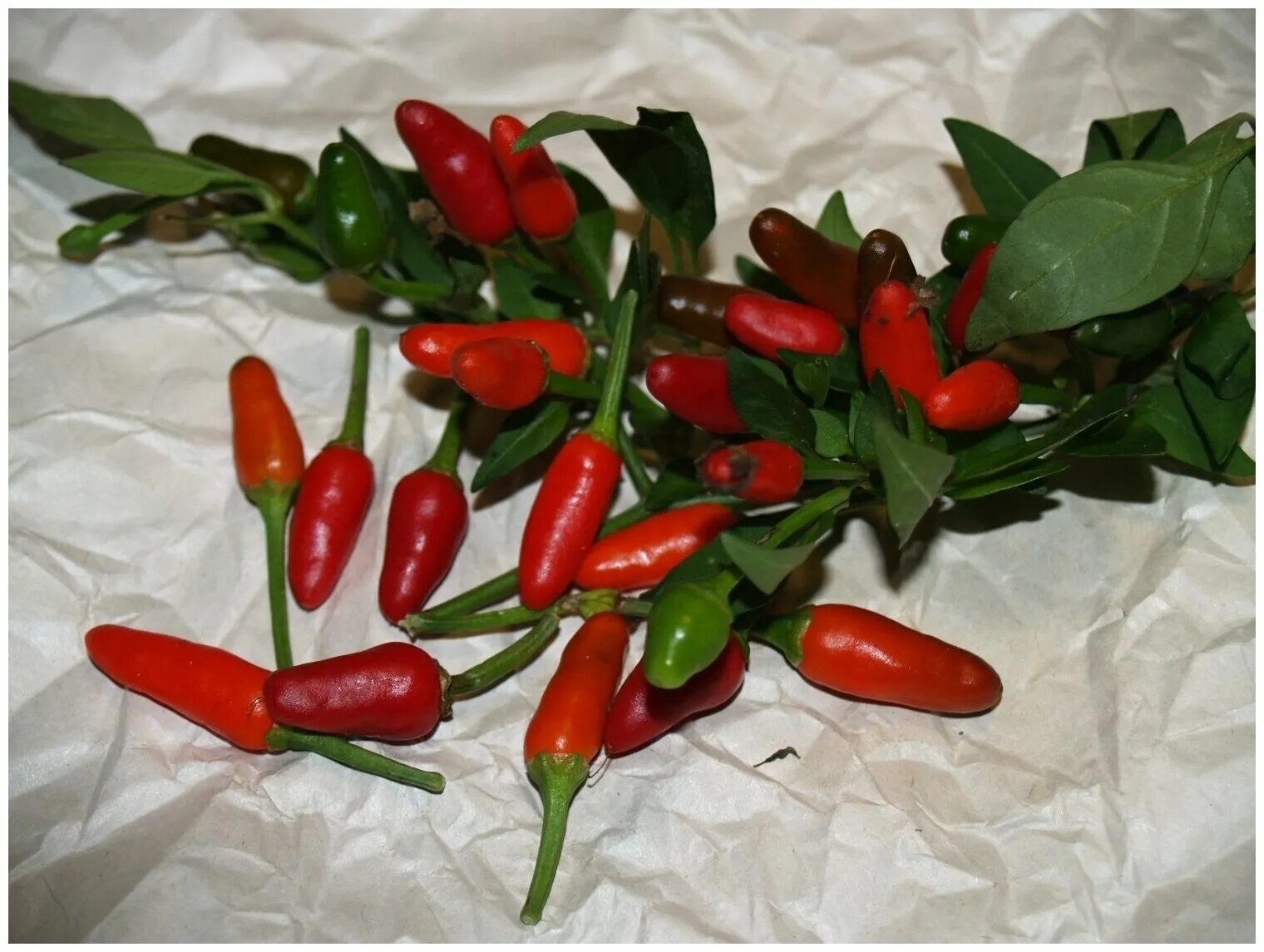 Less peppers