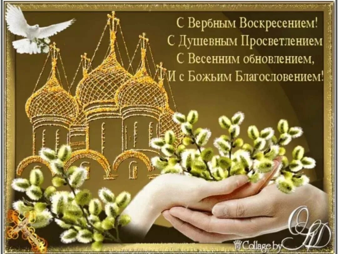 Открытки с прощенным воскресеньем бесплатные мерцающие. С вербным воскресеньем открытки. вербное воскресенье поздравления. открытки с верным воскресенье. поздравления с вербным воск.