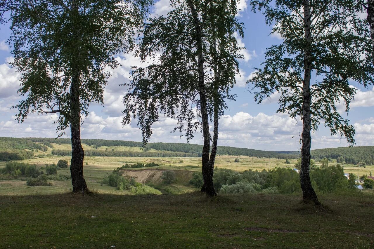 Санаторий красный яр пермский край. Яр косиха. Яр край. Карташевский яр на иртыше. Красный яр пермь.