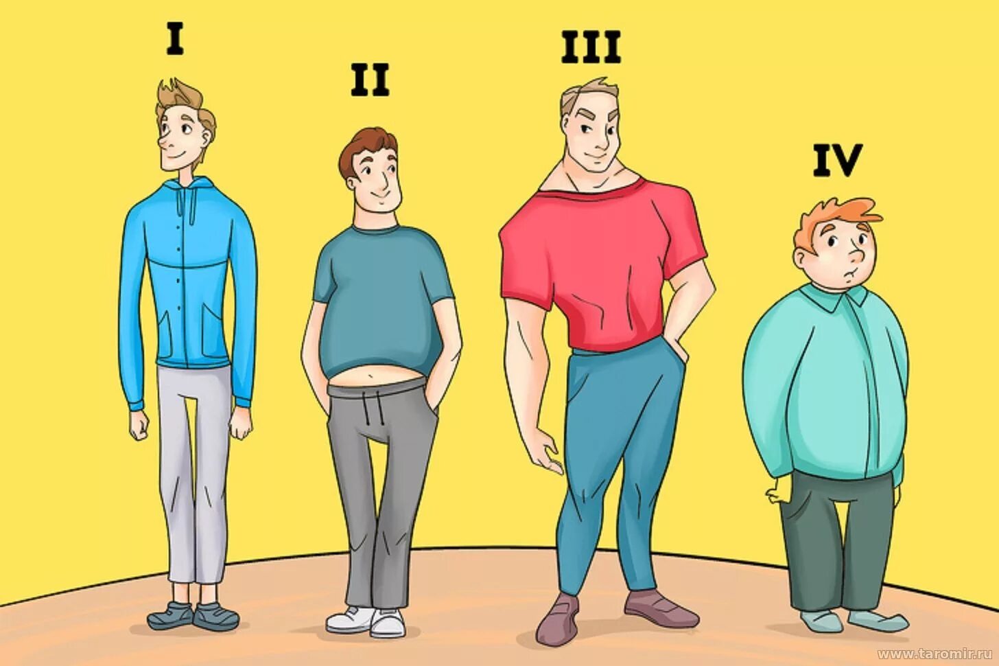 2 типа людей. характер иллюстрация. эннеаграмма типы личности. 9 типов личности по эннеаграмме. разные типы людей.