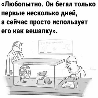 Pin su МЕМЫ nel 2024 Motivazione