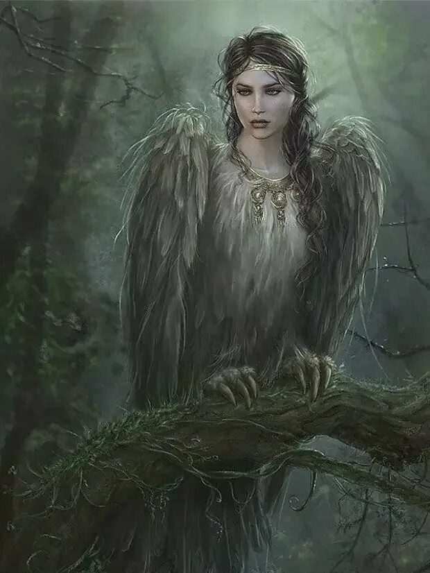 Райская птица сирин. Сирин алконост и гамаюн мифология. Алконост гамаюн сирин арт фэнтези. Виктор михайлович васнецов сирин и алконост. Птицы гамаюн алконост сирин феникс.