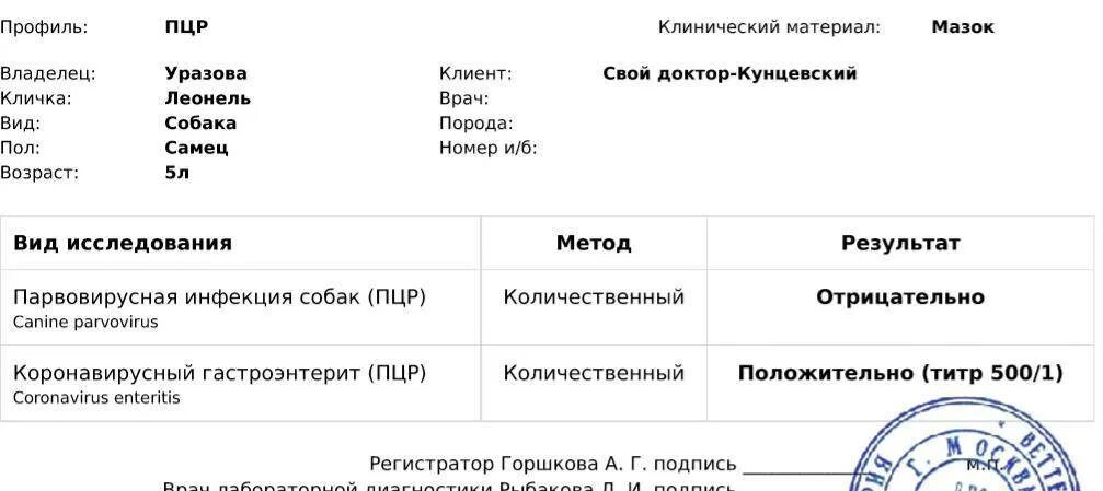Короновирусный гастроэнтерит симптомы