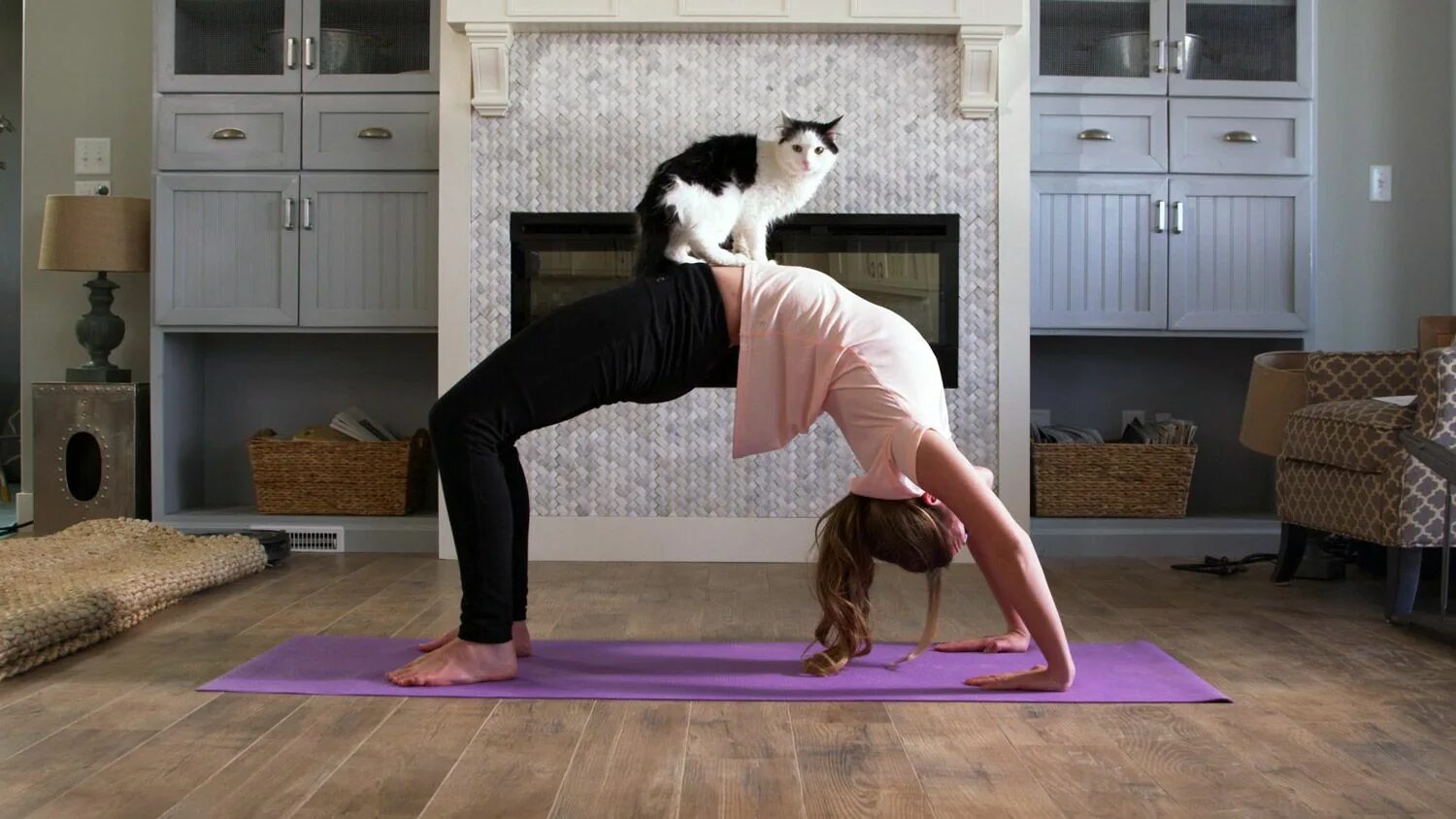 Кот йога. Кошка занимается йогой. Позы животных в йоге. Поза кошечки. Йога с животными