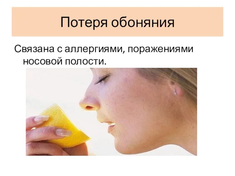 Нет обоняния нет соплей. Обоняние. потеря обоняния. потеря обоняния и вкуса. симптомы потери обоняния.