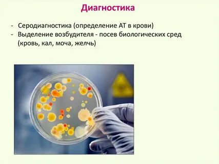 Выделение возбудителя
