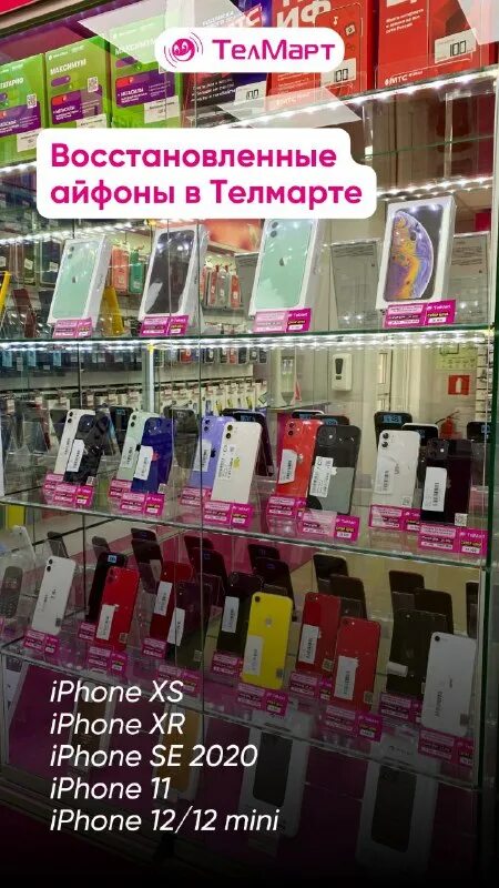 телмарт якутск. телмарт якутск. песец телмарт. песец из рекламы телмарта. телмарт якутск.