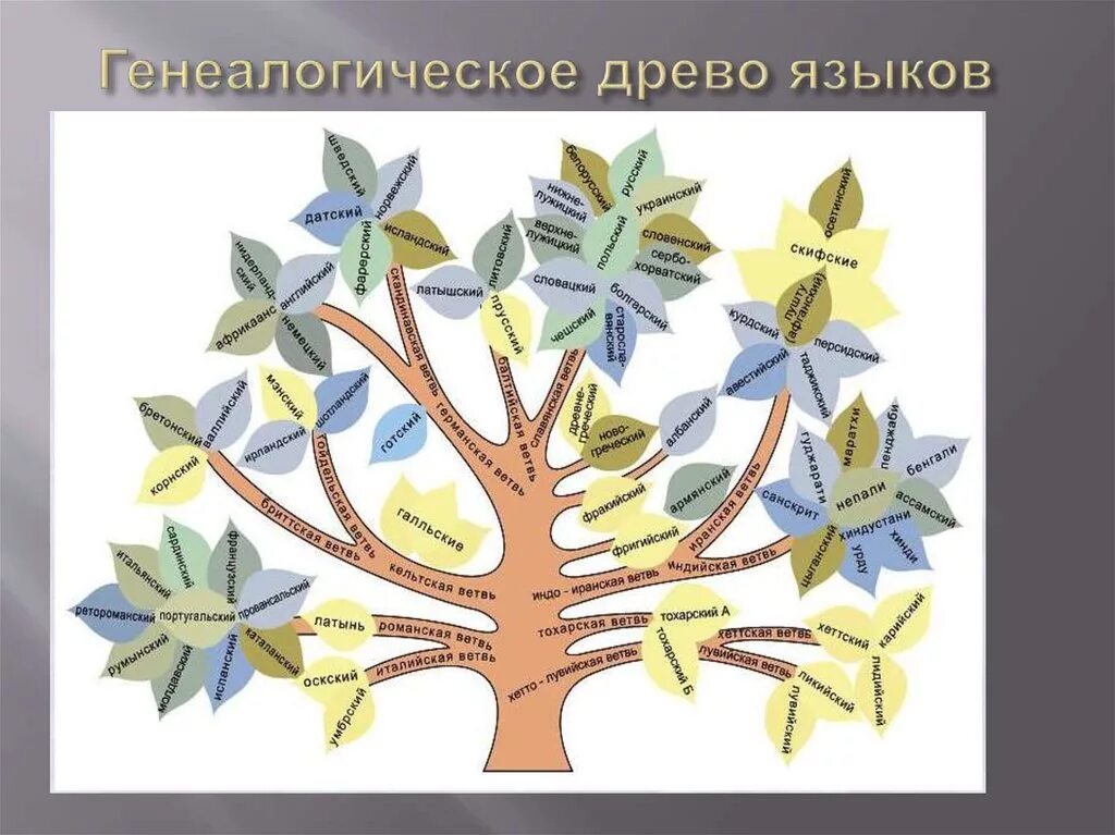 Древа юнеско