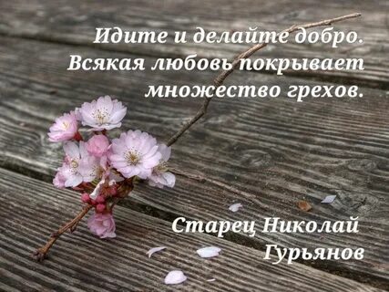 Любовь покрывает множество грехов