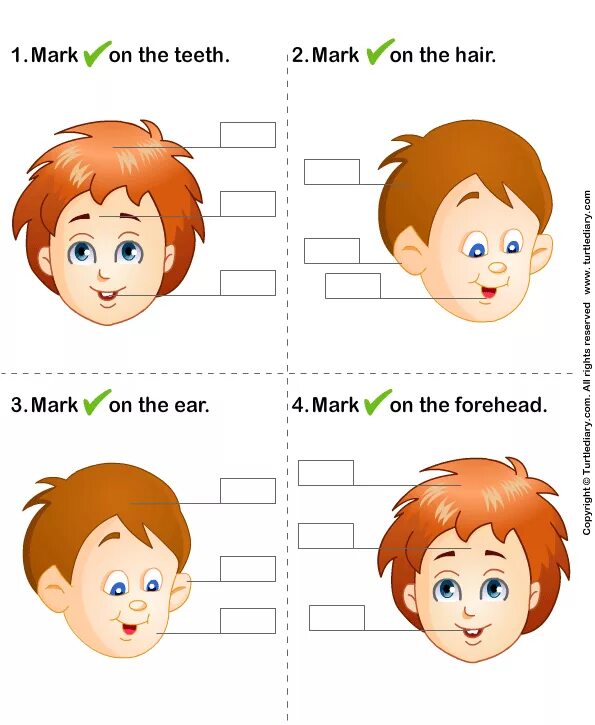 Части лица на английском для детей. Части лица на английском задания. Английский для дошкольников лицо. Части лица на английском задания для детей.