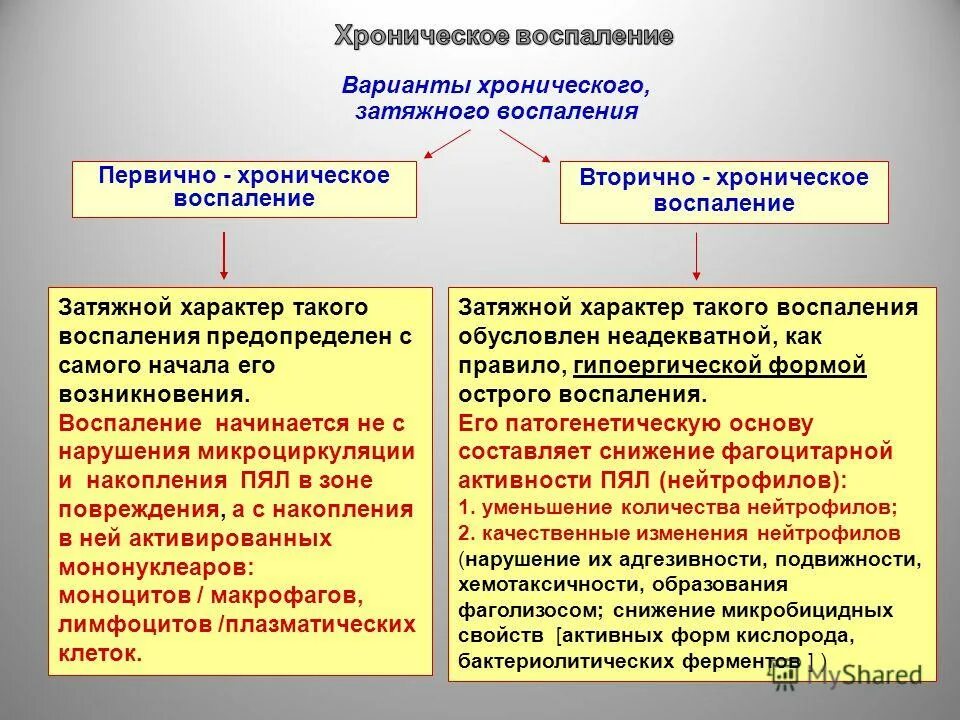 Хроническое продуктивное воспаление. Клинико-морфологические формы воспаления. Причины хронизации воспаления. Хроническая форма воспаления. Причины хронического воспаления.