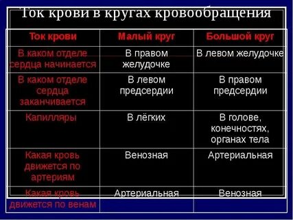 Таблица кровообращения