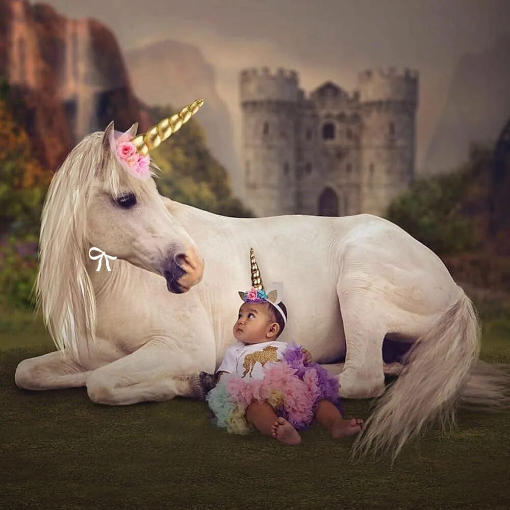 Unicorn 1 2