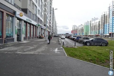 Фото де геннина
