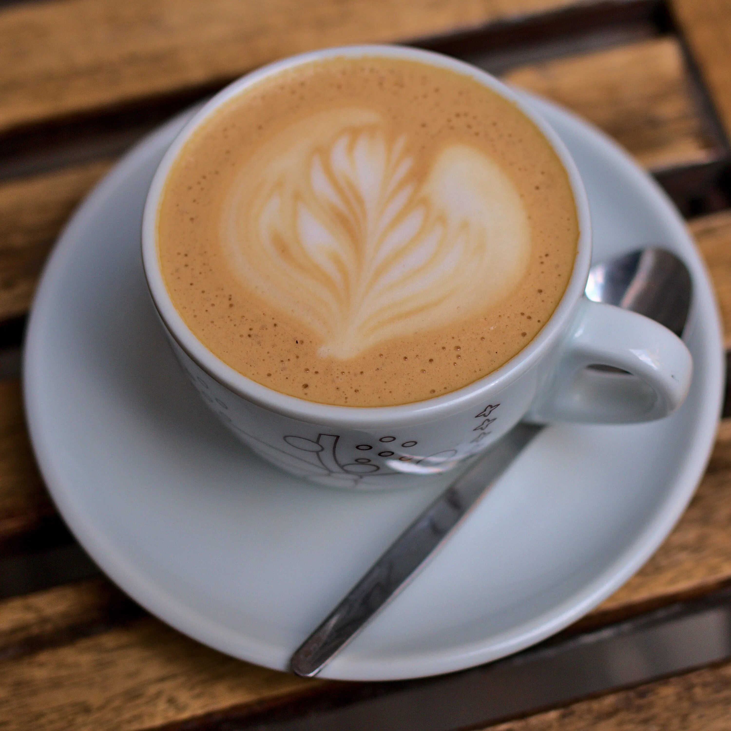 How to Make the Perfect Cappuccino Recipe Homemade coffee, Cappuccino coffee, Ho