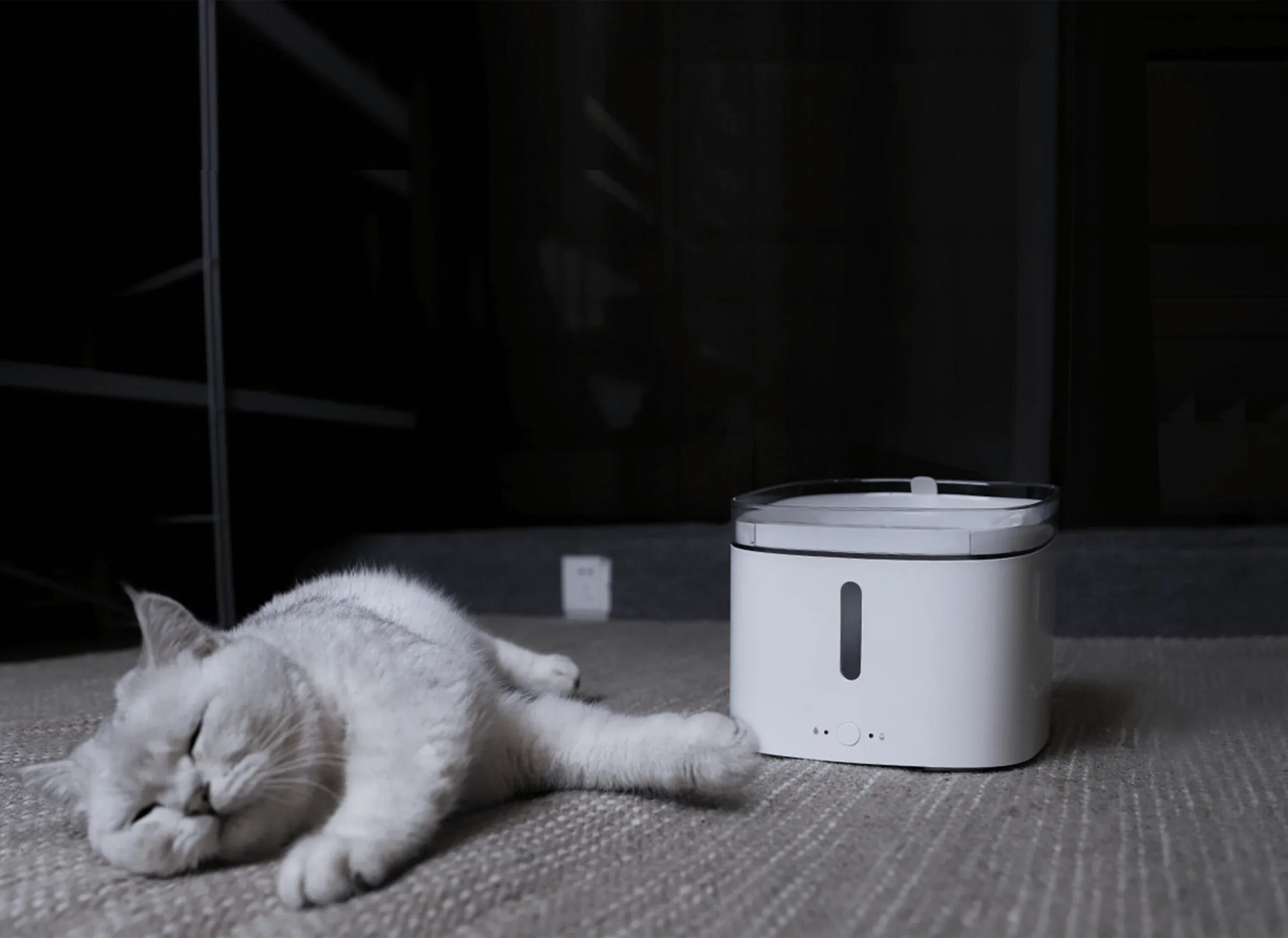 Xiaomi Smart Pet Fountain. Поилка умная Xiaomi Smart Pet Fountain. Автопоилка Xiaomi Petoneer Smart Pet Water Dispenser. Поилка для кошек Xiaomi. Xiaomi pet fountain