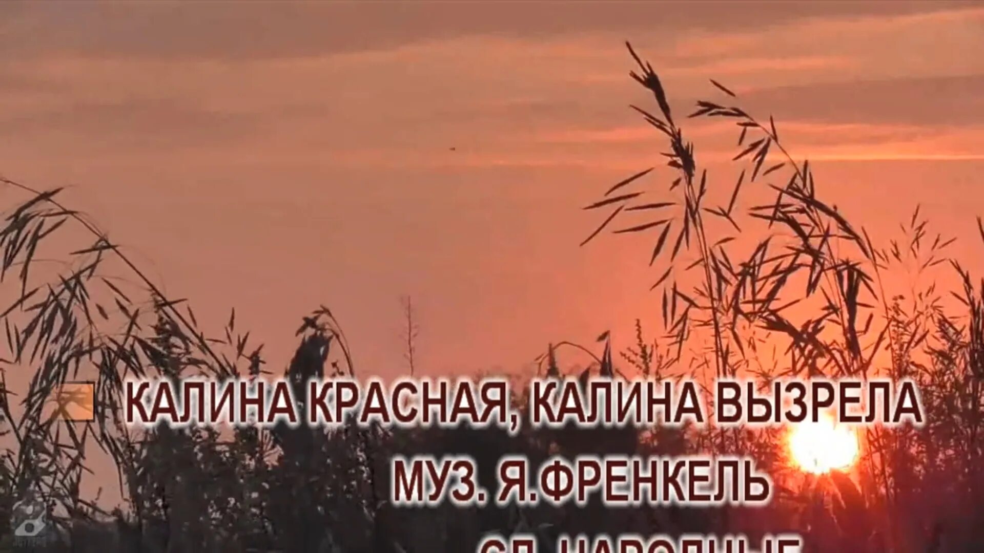 текст песни калина красная калина. калина боднатенская ягоды. калина красная я у залеточки характер. калина красная я у залеточки характер. ой цветет калина ноты для фортепиано.