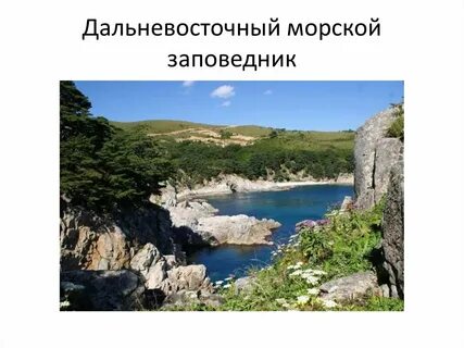 Дальневосточный заповедник природная зона