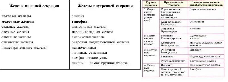 Функции желез внутренней секреции таблица. Строение и функции желез внутренней секреции таблица. Таблица железы внешней секреции гормоны и их функции таблица. Таблица функции желез внутренней секреции таблица.