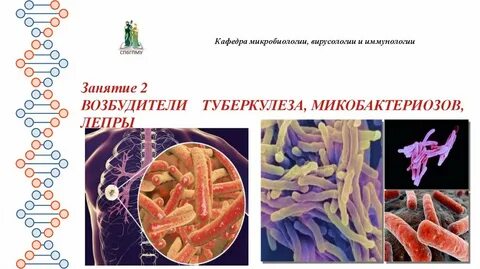 Микробиология возбудителей