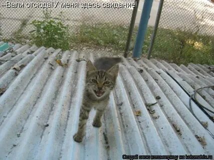 Вали отсюда это
