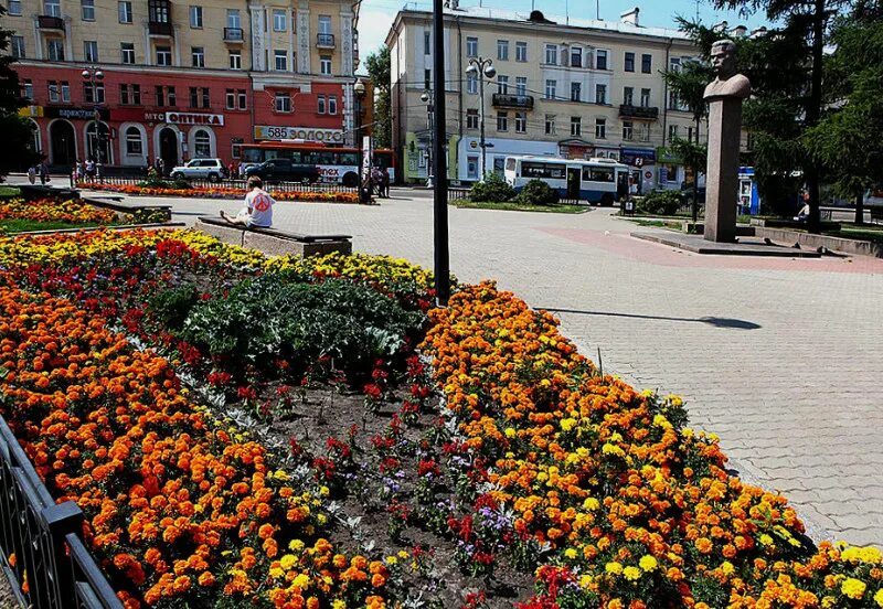 Сквер кирова. Цветы иркутск. Цветы с доставкой иркутск. Клумба сквер кирова иркутск. Самарский парк победы клумбы.