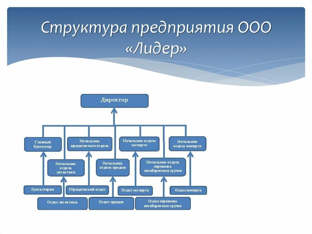 Организационная структура предприятия схема ООО. Организационная структура компании ООО. Схема организационной структуры ООО. Организационную структуру управления компании ООО.