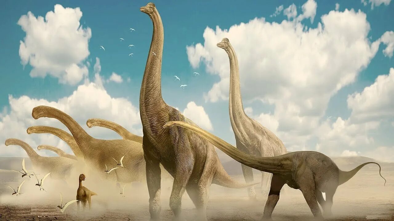 Где большой динозавр. Диплодок Аргентинозавр. Брахиозавр динозавр Диплодок. Зауропод и Диплодок. Диплодок Брахиозавр амфицелия.