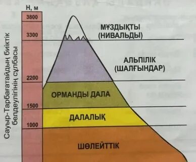 Ibiza ойын-сауық кештерінің дискотека шоуларының секс-порно бейнелерін қараңыз