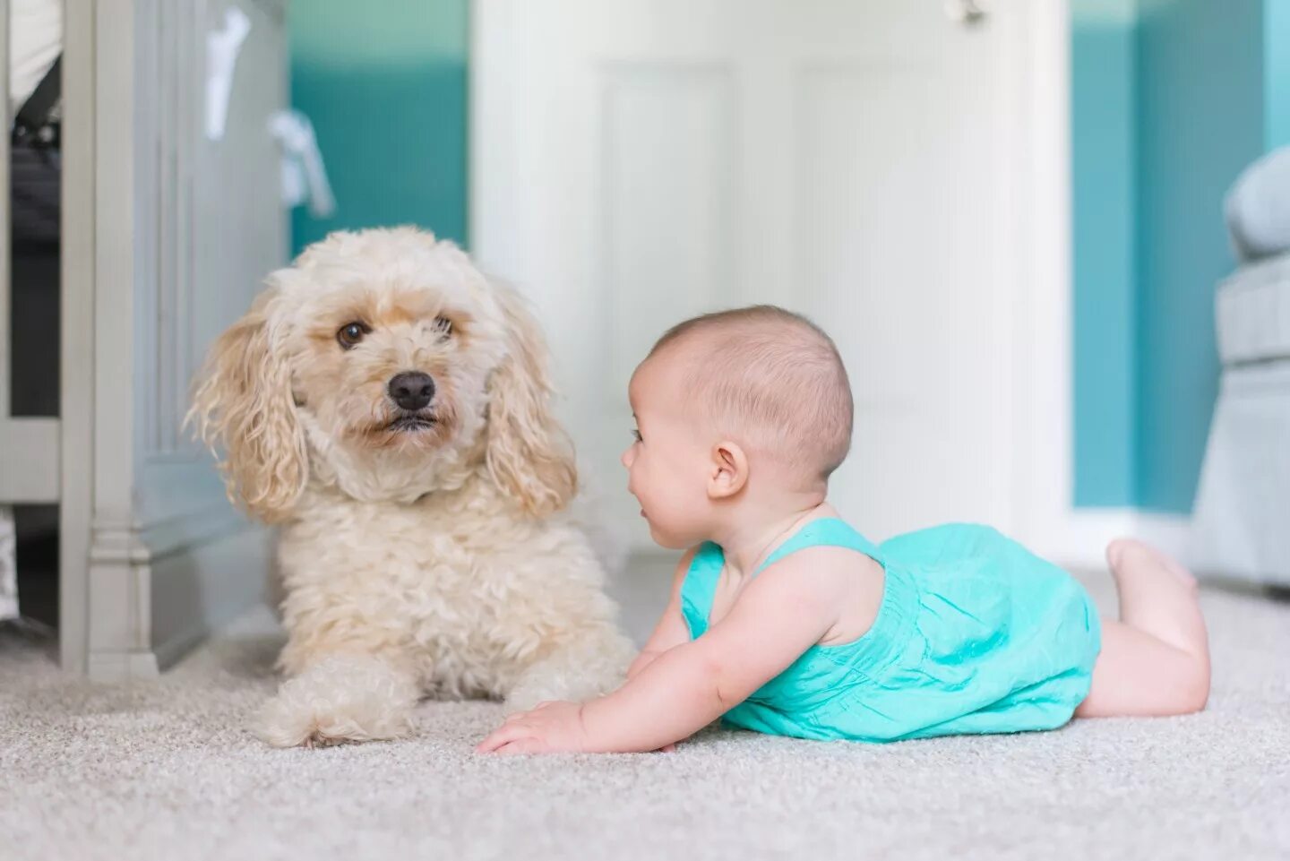 Baby pet. Собака для детей. Домашняя собака для детей. Маленькие собаки для детей. Маленький ребенок и щенок.