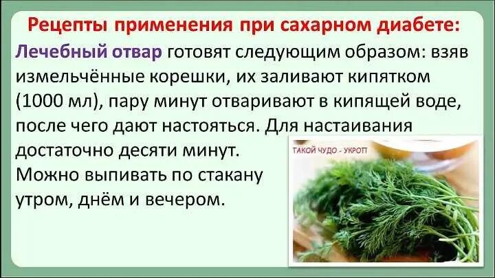 Снижает ли корень. Семена укрлпа придиабете. Семена укропа от сахарного диабета. Укроп при сахарном диабете. Семена укропа при диабете.